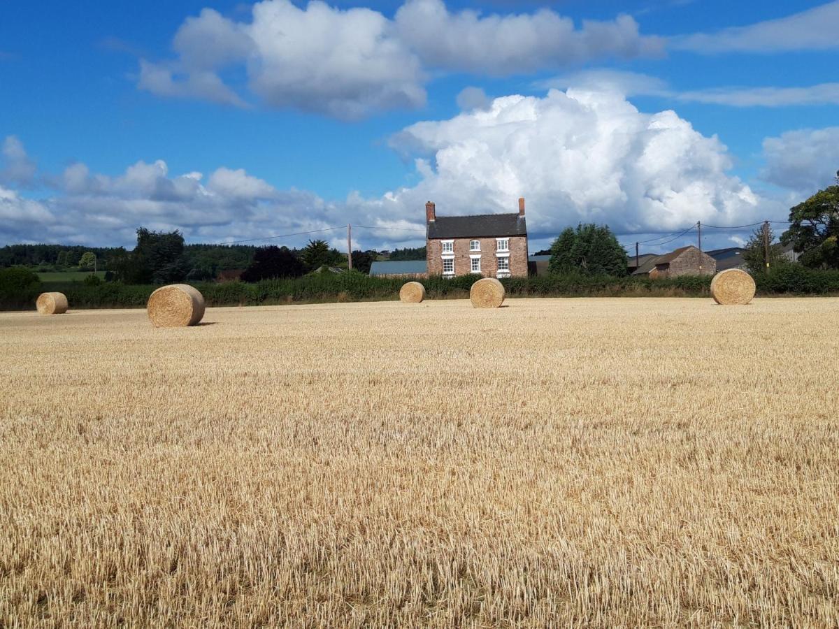Upper Eyton Farmhouse B&B Alberbury Екстериор снимка